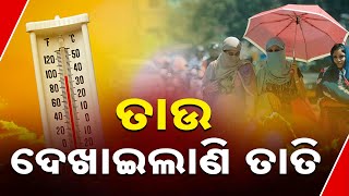 Reporter Live: Why Temperature On Rise In Peak Winter Today In Odisha?