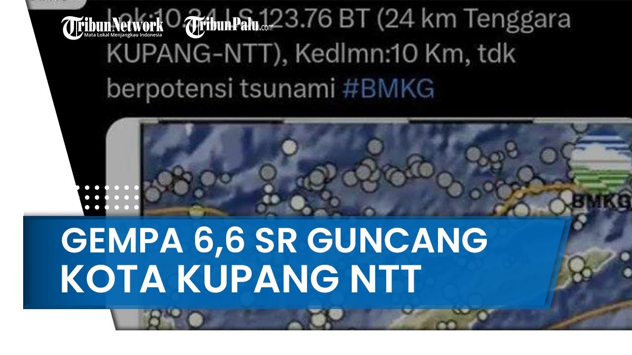 Warga Kota Kupang NTT Berlarian Ke Luar Rumah Seusai Diguncang Gempa 6 ...