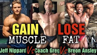 Jeff Nippard; How To Gain Muscle + Lose Fat at the Same Time! Breon Ansley Says No! MY ANALYSIS!!!