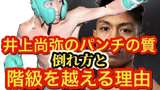 井上尚弥vsフルトンに向けて過去スパーリングから階級を超えたパンチについてスーパーバンタムでこそ活きる根拠・理由を語ってみた！【元ボクシング日本バンタム級チャンピオン木村隼人\u0026Mr.K】