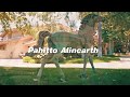 Pahitto Alincarth.  - Amor Dope (Official Video ) Directed by Ricardo Gradi Wat