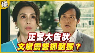 《黃金爆爆爆》黃金歲月 EP276  正宮大告狀   文斌震怒抓到猴？