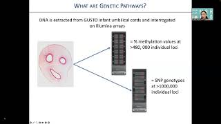 OHBM 2023 | 2867 | Symposium | Anqi Qiu | Nature and nurture: evidence from pediatric neuroimaging…