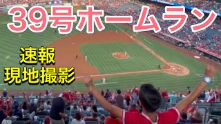 39号弾丸ソロホームラン‼︎ 大谷翔平選手ファンの少年が全身で大喜び‼︎【第1打席・1番DH・大谷翔平選手】対ヒューストン・アストロズ第2戦 @エンジェル・スタジアム【現地撮影】8/14/2021