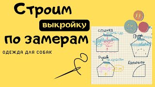 Выкройка на собаку ✏️🧵✂️ Как снять мерки с собаки 🧮❓