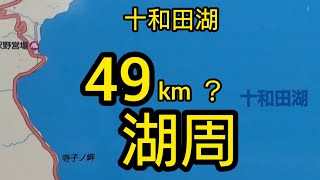 青森県編③オオクワガタ・ライトトラップ（東北６県遠征）馬鹿でした…【ゴリの飼育日記ＮＯ.６０】学名Dorcus hope binoduiosus