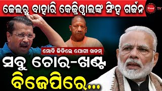 ଜେଲରୁ ବାହାରି କେଜ୍ରିୱାଲଙ୍କ ସିଂହ ଗର୍ଜନ | ମୋଦି ଜିତିଲେ ଯୋଗୀ ଖତମ୍ | ସବୁ ଚୋର-ଖଣ୍ଟ ବିଜେପିରେ..| Dinanka TV |