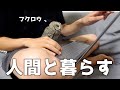 人間と一緒に暮らすフクロウのリアルな一日