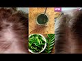 7 Days Hair Miracle| Curry Leaves Magic Hair Growth Serum