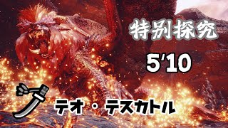 【MHRS】特別探究！炎王龍！太刀火事場５’1０/ 特別探究　テオ・テスカトル Risen Teostra Longsword Solo 5'10