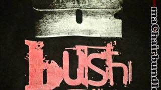 Bush - Distant Voices