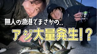 【アジング】キス釣りに行ったらアジの大群に遭遇！短時間で釣りまくる！！