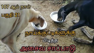 நாய்க்குட்டிகளுக்கு பிடித்த அசைவ சாப்பாடு | காலை சாப்பாடு | 107 ஆம் நாள் |