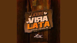 Cachorro Vira-Lata