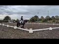 British dressage Introductory 2 dressage test.