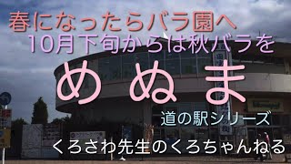 バラ園の道の駅といえばここでしょ『めぬま』埼玉県・道の駅シリーズ