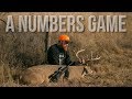 DEER HUNTING LESSON | A Numbers Game UR Hunt Film Fest Winner