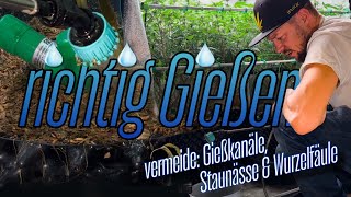 RICHTIG GIESSEN // Vermeide: Gießkanäle, Staunässe \u0026 Wurzelfäule. // NIMM DIR ZEIT