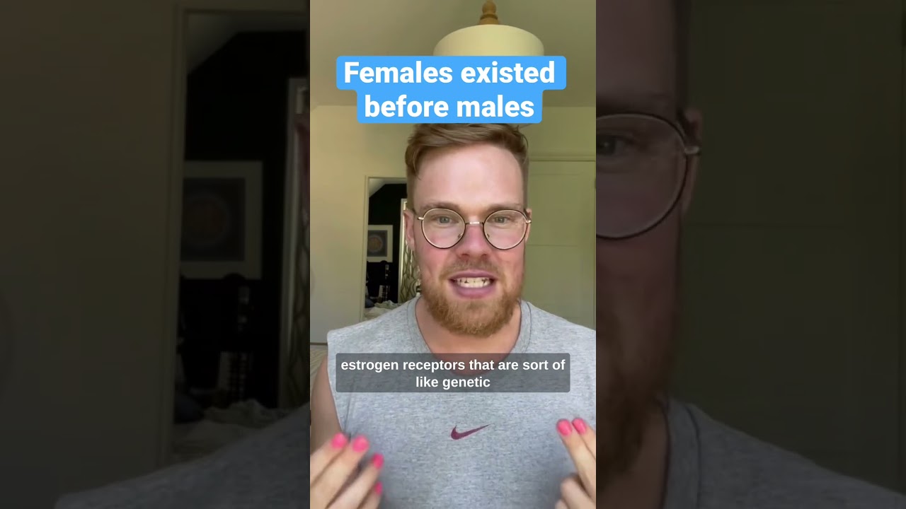 The Deadly Irony Of Gunpowder Eric Rosado Simple Education