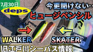 【デプス】おすすめビッグベイト！WALKERとSKATERを投げ比べ！　#デイゲームシーバス　#シーバスタックル 　#ビッグベイト