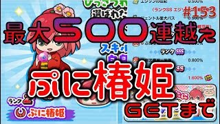 153話_【最大500連越え‼】_ぷに椿姫ゲットするまで_妖怪ウォッチぷにぷに_Yo-kai　Watch