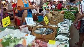 เลาะตลาดสด พรเพชร มุกดาหาร ปลาน้ำโขง ของป่าของเเซบ ตอน2 Tae Trip