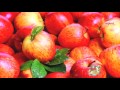 apple health benefits ఆపిల్ లో పోషకవిలువలు food tips