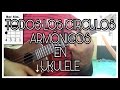 Circulos de acorde en UKULELE