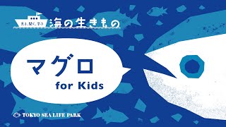 マグロ for Kids／開園記念2022