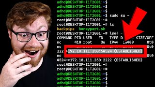Cybersecurity Labs (FOR FREE) - Linux Backdoor Analysis