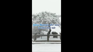 Jiuhua Mountain after snow: a winter fairy tale