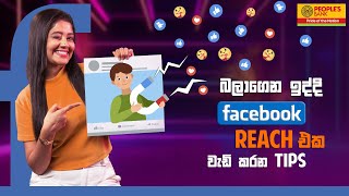 බලාගෙන ඉද්දි Facebook Reach එක වැඩි කරන Tips | TechMore | People's Bank