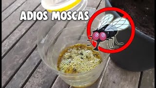 TRAMPA CASERA PARA MOSCAS que SI FUNCIONA!! 🪰