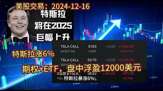 美股交易记录：「TSLA CALL 」和 ETF ； 2024-12-16，两套价格期权+200股ETF，已盈利12000美元