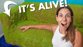 I Grow a Chia Pet Couch…AND SIT ON IT