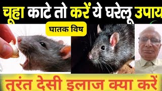 चूहा काट ले तो कैसे करे उपाय|How To Best Treatment Of Rat Bite