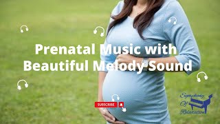 PREGNANT MUSIC MELODY | FOR UNBORN BRAIN BABY with BEAUTIFUL MELODY SOUND 🎶🎶
