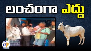 Karnataka Farmer Brings Bull as Bribe | To Muncipal Officials | ఎద్దును లంచంగా ఇవ్వబోయిన రైతు