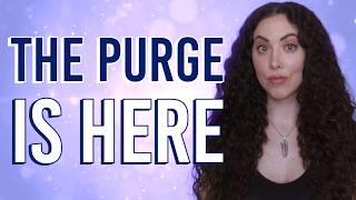 The Purge Before the Upgrade: Why Everything Is Changing