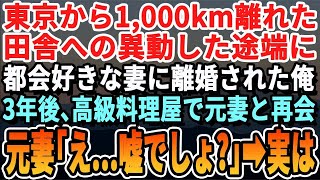 【感動する話】東京から1,000キロ離れた田舎へ異動になった大手企業勤務の俺。妻に異動を伝えると「左遷されるとか無理w離婚ねw」→3年後、高級日本料理屋で元妻と再会すると...【いい話・泣ける話・朗読