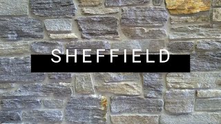 Sheffield Split Face Ledgestone Natural Thin Veneer