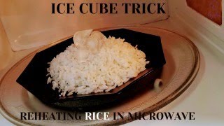 Ice cube trick for Reheating Rice in microwave🙂👌 #shorts