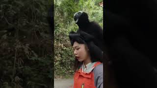 Funny monkey 🐵 #foryou #funny #pets #animals #funnyvideo #cat #fyp #shorts