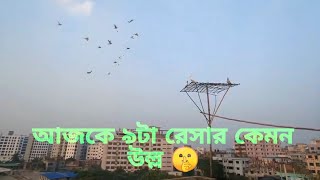 আজকে 9টা রেসার কেমন উল্ল 🤫 #pigeon #bdpigeonslover #kabutar #pigeonloverbd