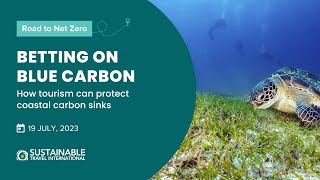 Betting on Blue Carbon: How Tourism Can Protect Coastal Carbon Sinks