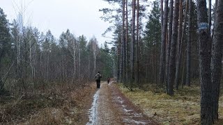 Однодневный поход с Ивенца вдоль реки Ивенчик и Ислочь