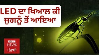 ਤੁਹਾਡੇ ਘਰ ਦੇ LED ਬਲਬ ਦਾ ਆਈਡੀਆ ਕੀ ਪਿੰਡ ਦੇ ਜੁਗਨੂੰ ਤੋਂ ਆਇਆ?