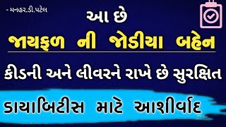 આ છે જાયફળ ની જોડીયા બહેન.. કીડની અને લીવરને રાખે છે સુરક્ષિત..ડાયાબિટીસ માટે આશીર્વાદ..