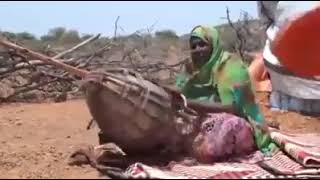 Dhaqankii suubanaa ee somalida