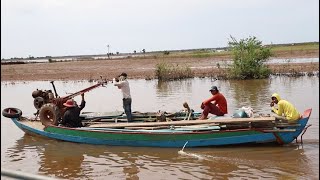 រដូវទឹកស្រកកសិករឃុំកំពង់ឃ្លាំង ដឹកគោយន្តតាមកាណូតទៅធ្វើស្រែចម្ការ